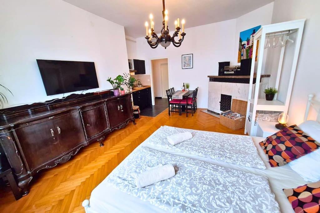 True Centrally Located & Spacious Appartement Zagreb